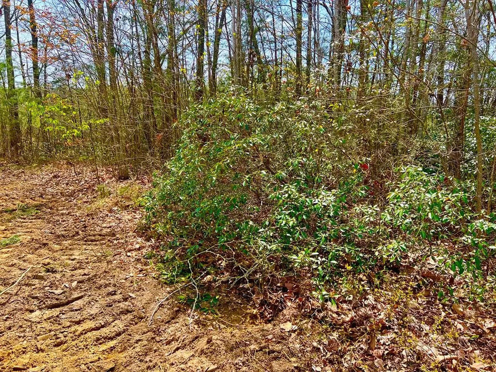 Lot 28 Star Point Road Jamestown TN 38556