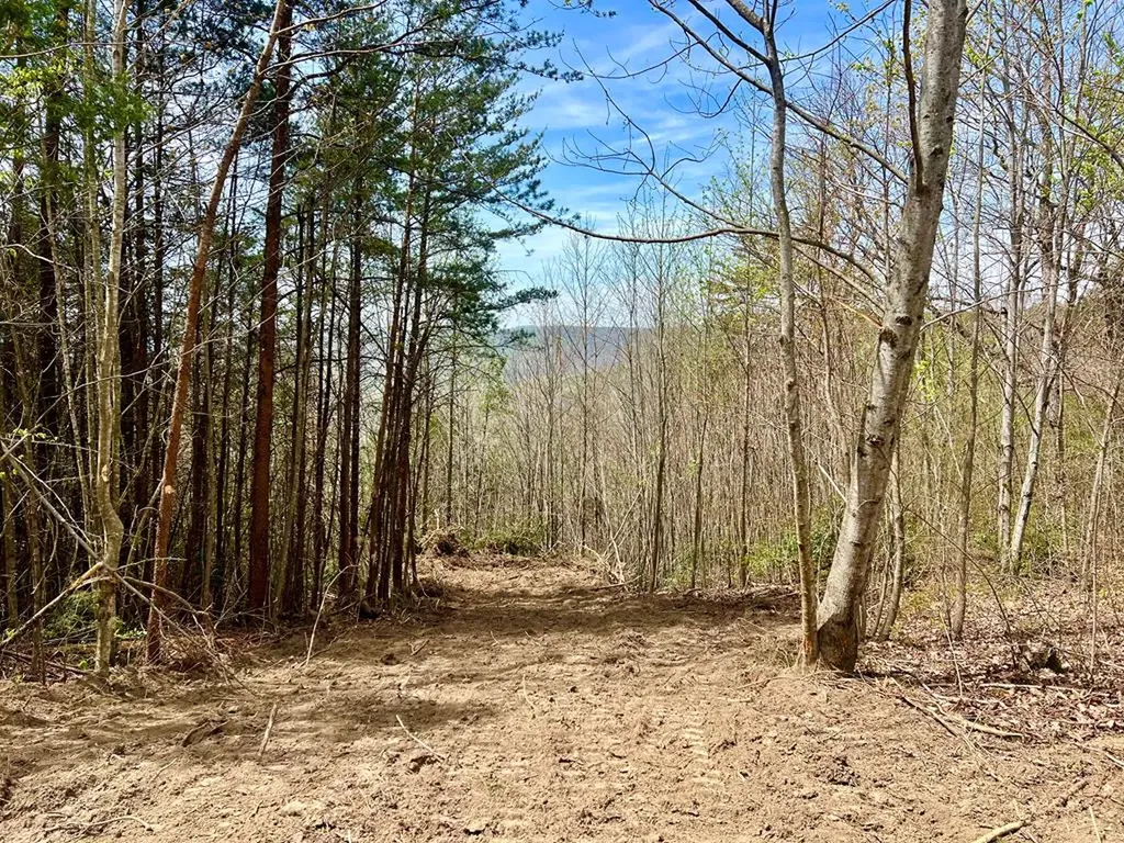 Lot 28 Star Point Road Jamestown TN 38556