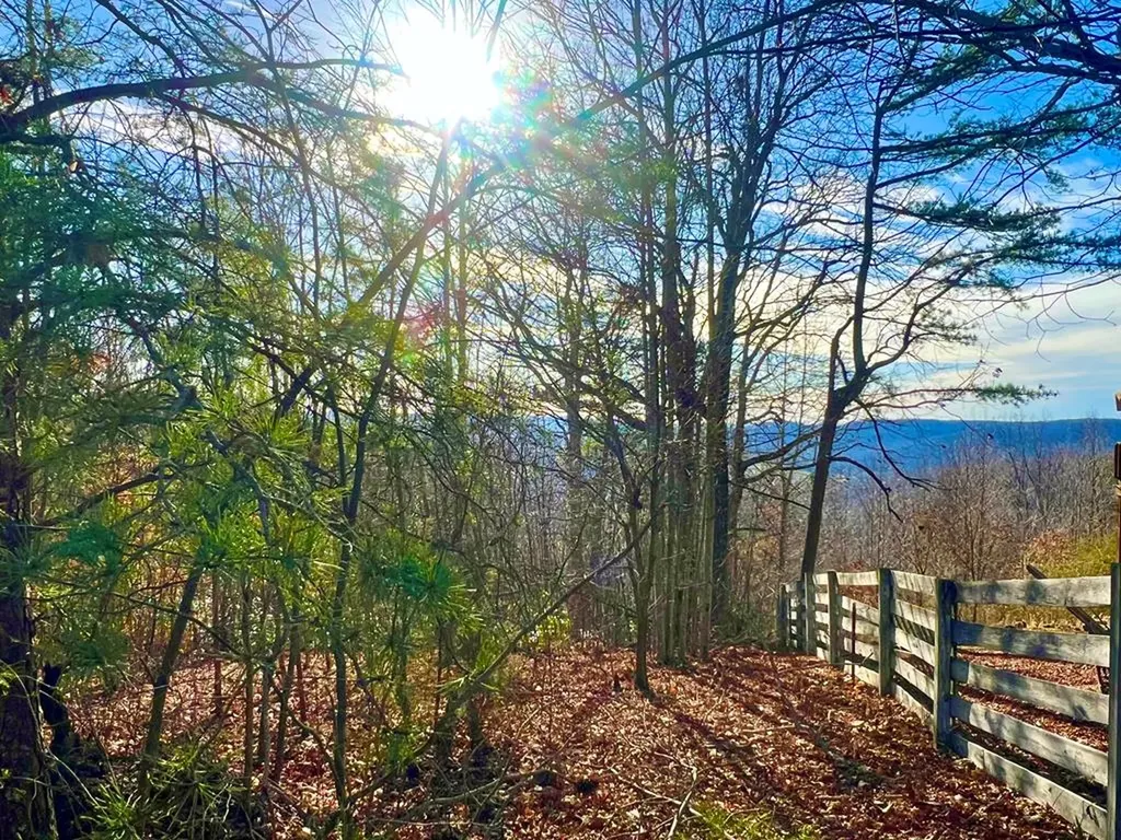 Lot 28 Star Point Road Jamestown TN 38556