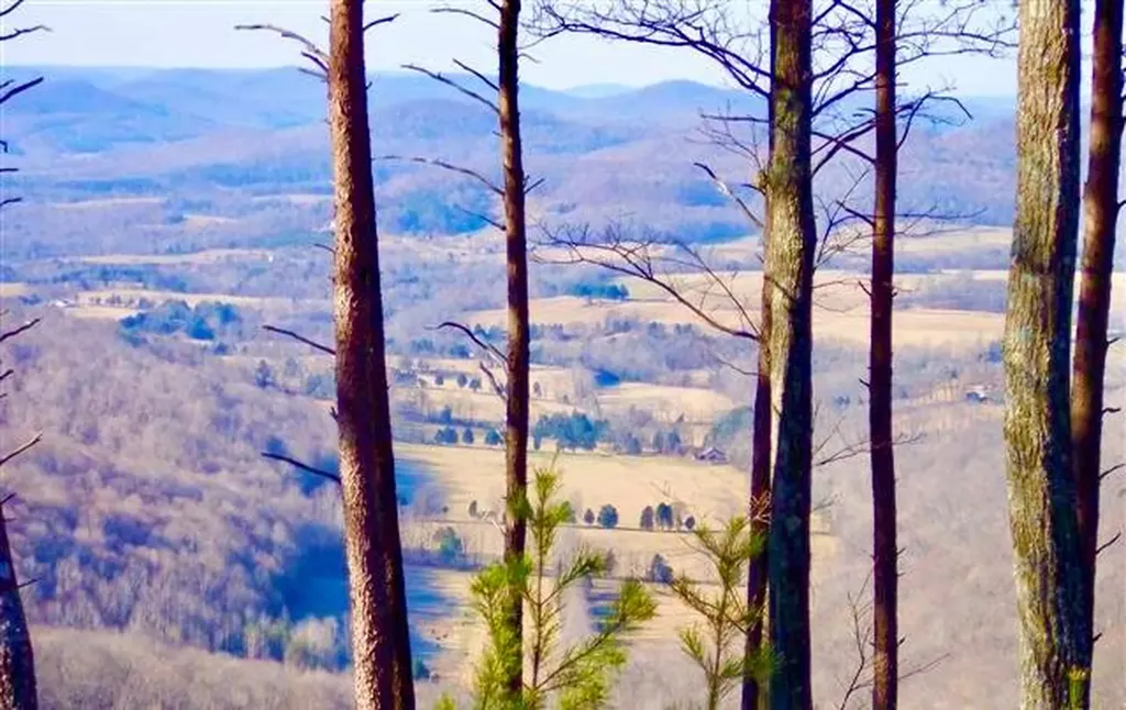 26 & 27 Star Point Road Jamestown TN 38556