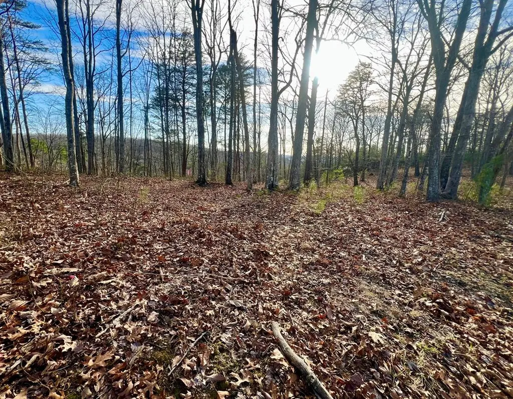 26 & 27 Star Point Road Jamestown TN 38556
