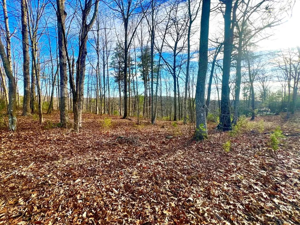 26 & 27 Star Point Road Jamestown TN 38556