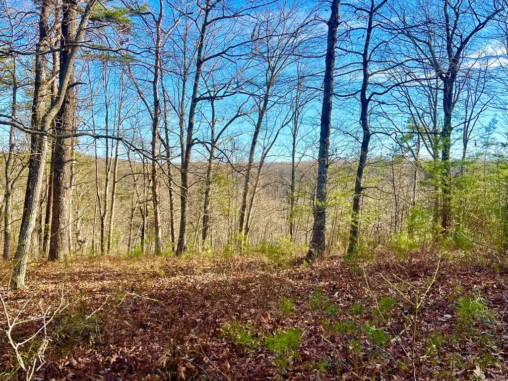 26 & 27 Star Point Road Jamestown TN 38556