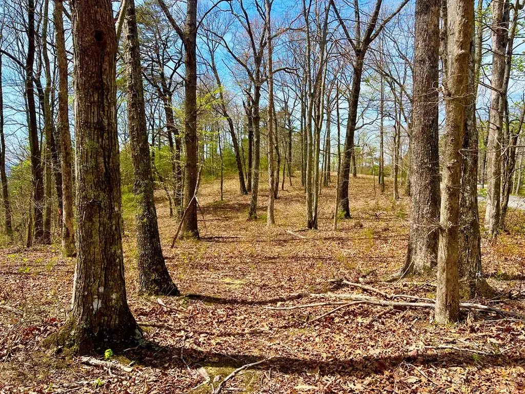 26 & 27 Star Point Road Jamestown TN 38556