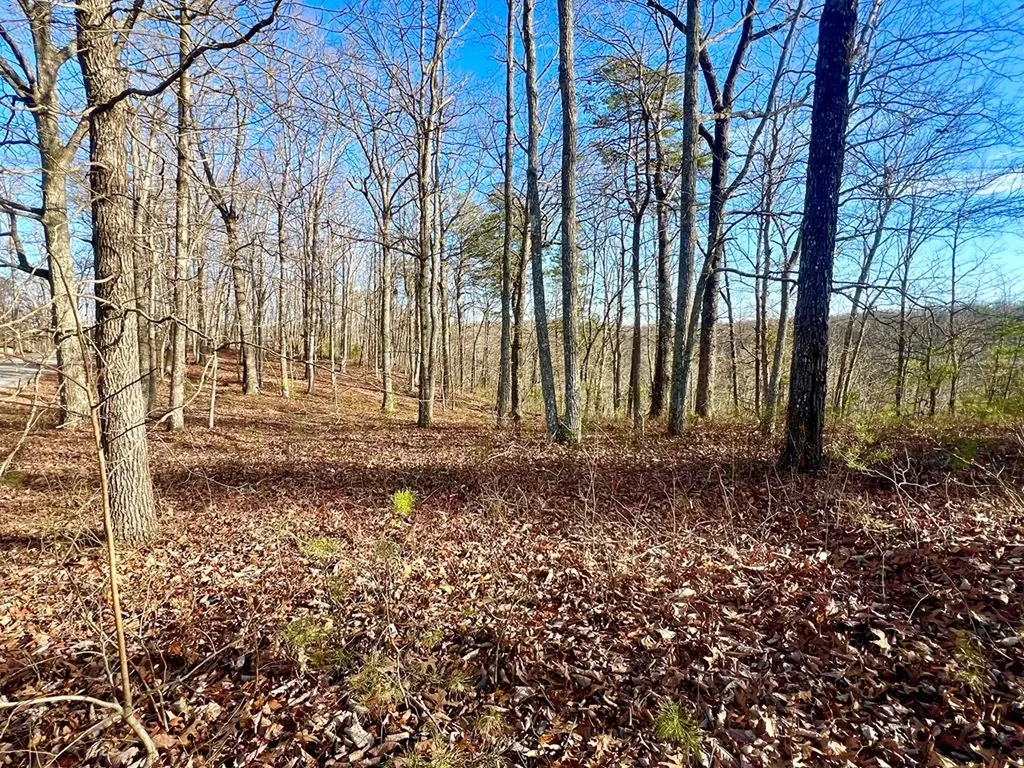26 & 27 Star Point Road Jamestown TN 38556