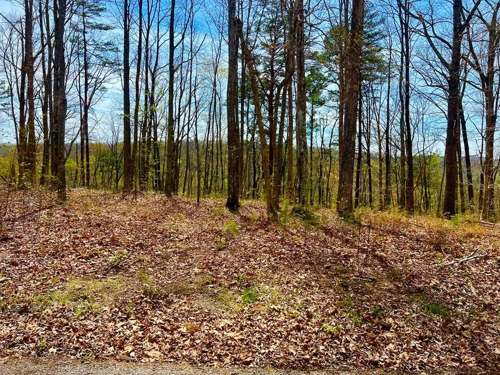 26 & 27 Star Point Road Jamestown TN 38556