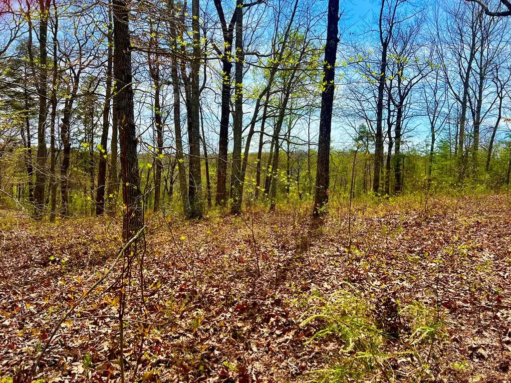 26 & 27 Star Point Road Jamestown TN 38556