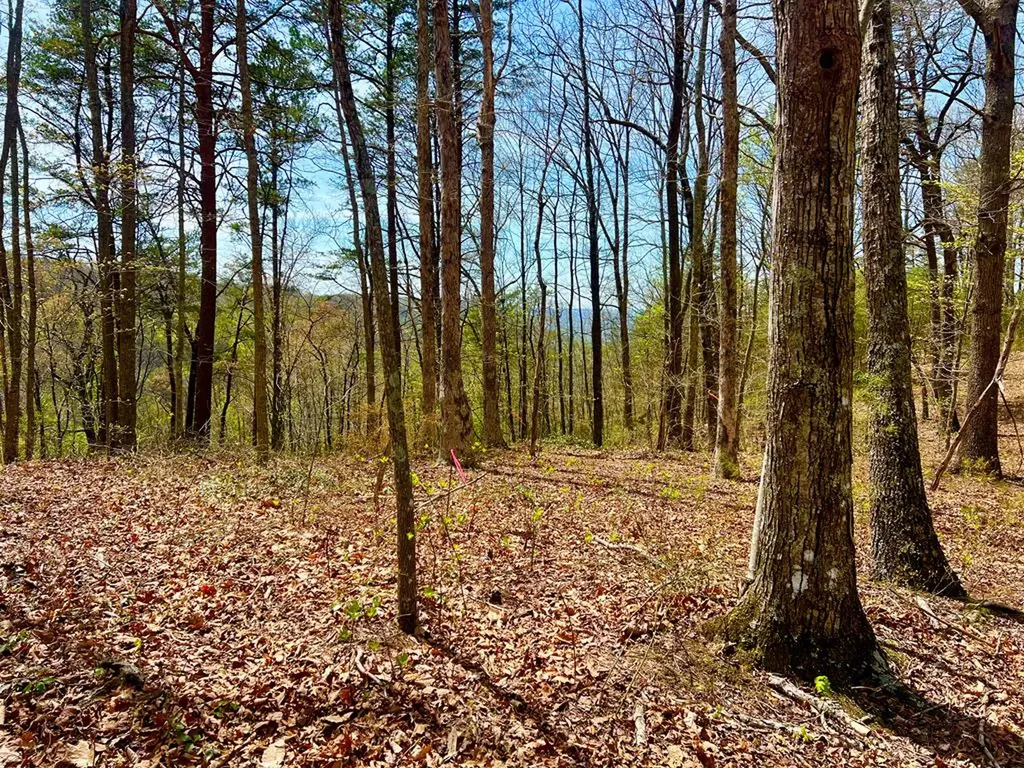 26 & 27 Star Point Road Jamestown TN 38556