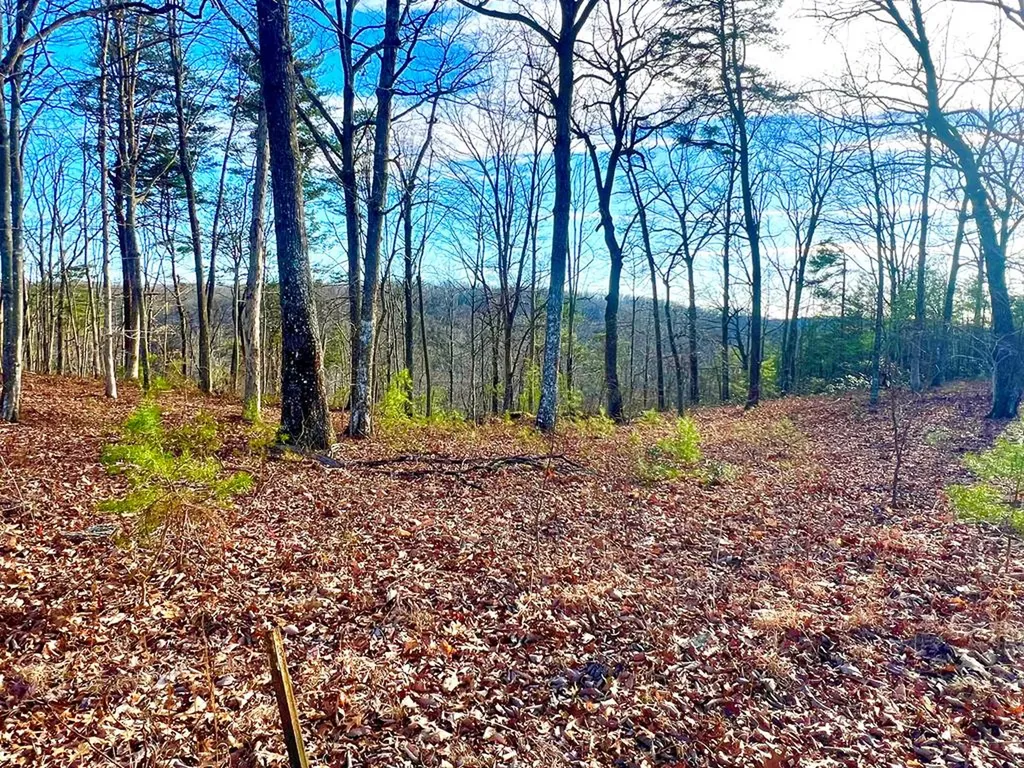 26 & 27 Star Point Road Jamestown TN 38556