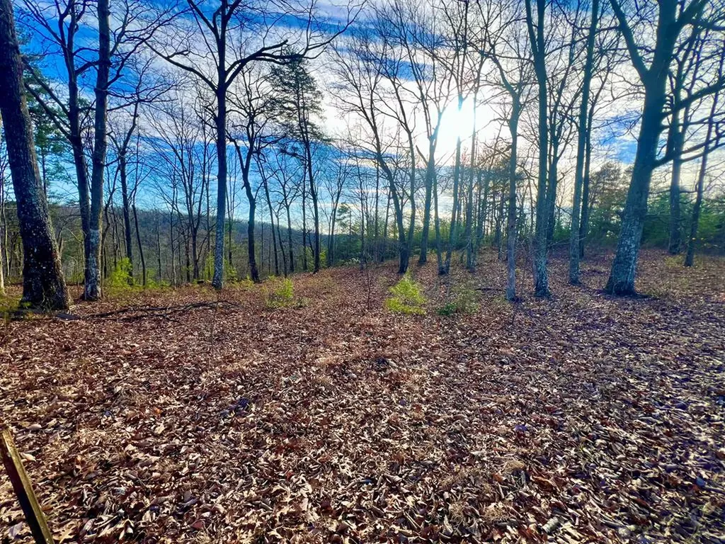 26 & 27 Star Point Road Jamestown TN 38556