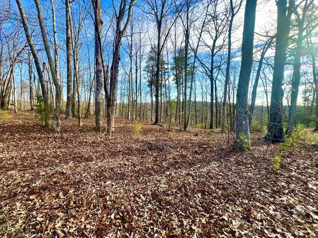 26 & 27 Star Point Road Jamestown TN 38556