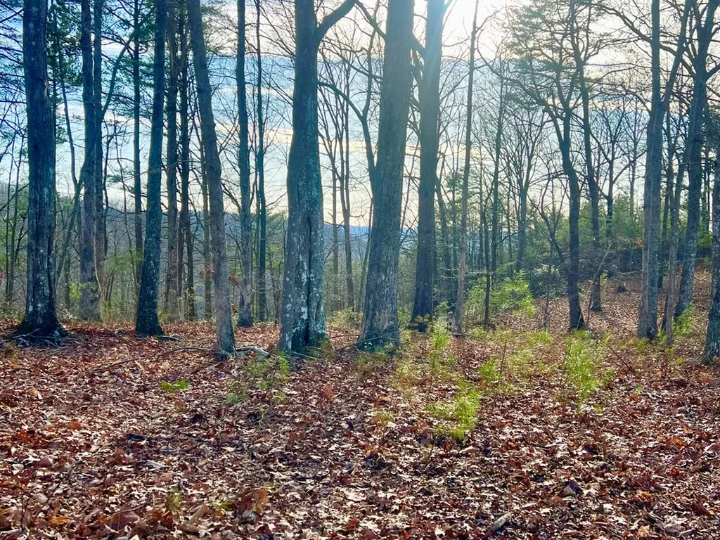 26 & 27 Star Point Road Jamestown TN 38556