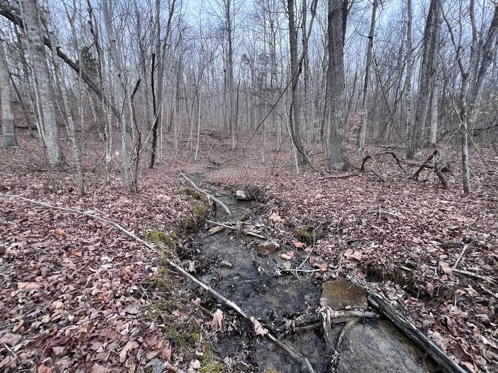 Lot 55 Buffalo Cove Lane Jamestown TN 38556