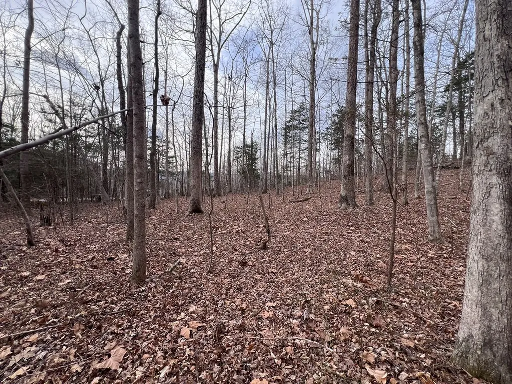 Lot 55 Buffalo Cove Lane Jamestown TN 38556