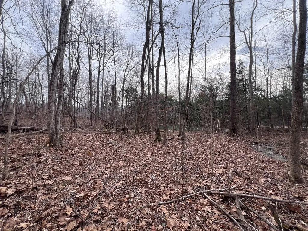 Lot 55 Buffalo Cove Lane Jamestown TN 38556