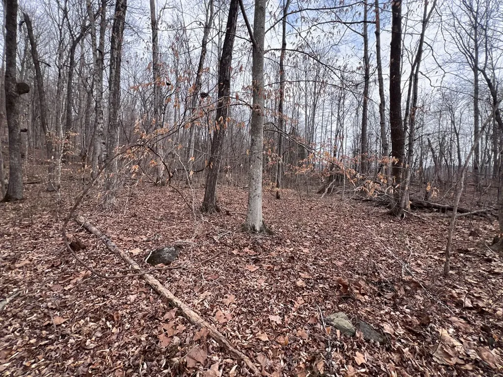 Lot 55 Buffalo Cove Lane Jamestown TN 38556