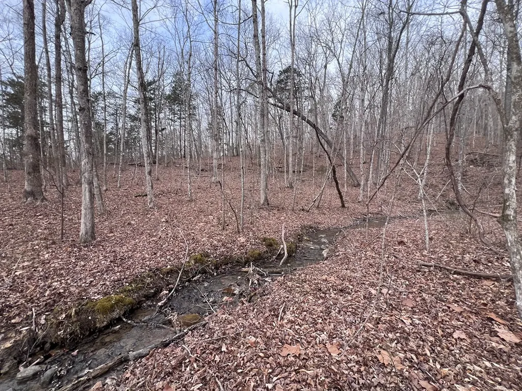 Lot 55 Buffalo Cove Lane Jamestown TN 38556