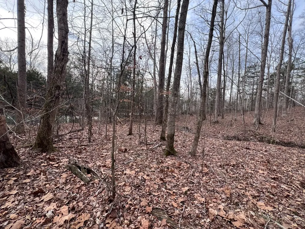 Lot 55 Buffalo Cove Lane Jamestown TN 38556