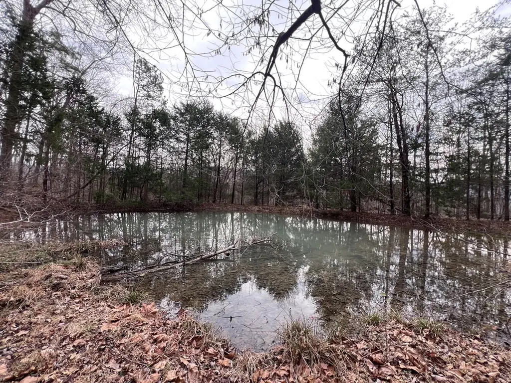 Lot 55 Buffalo Cove Lane Jamestown TN 38556