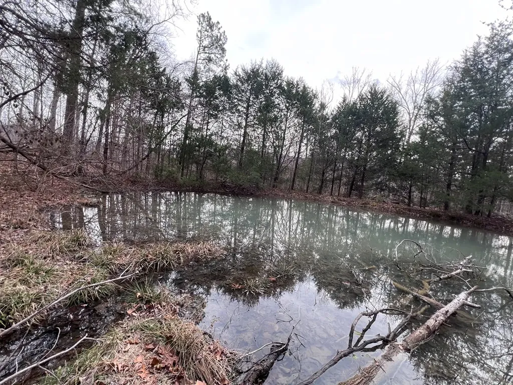 Lot 55 Buffalo Cove Lane Jamestown TN 38556