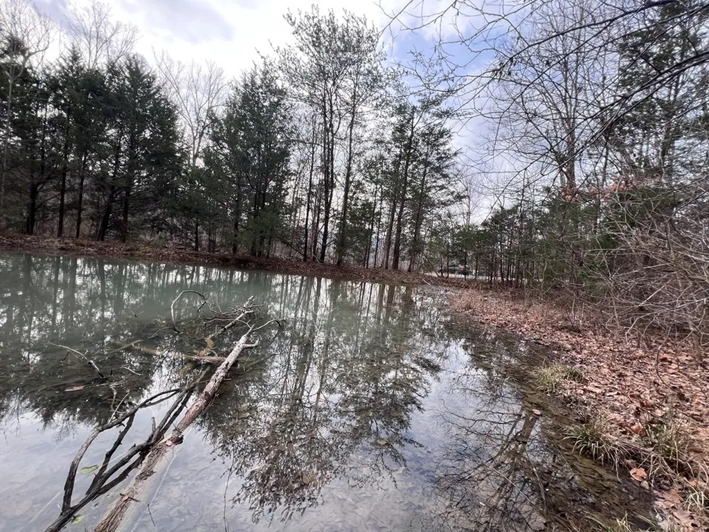 Lot 55 Buffalo Cove Lane Jamestown TN 38556