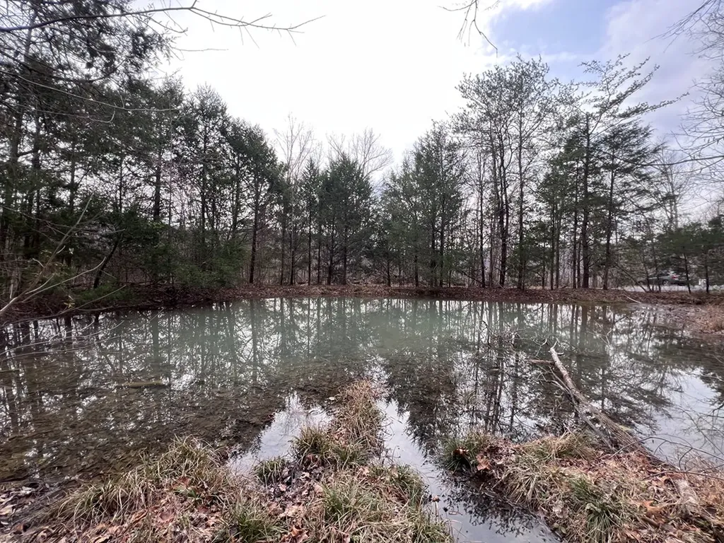Lot 55 Buffalo Cove Lane Jamestown TN 38556