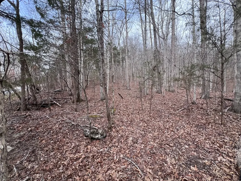 Lot 55 Buffalo Cove Lane Jamestown TN 38556