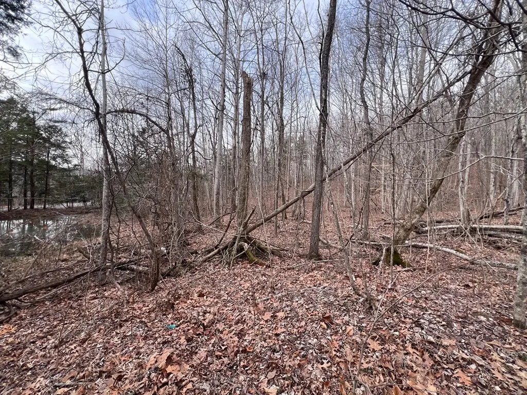 Lot 55 Buffalo Cove Lane Jamestown TN 38556