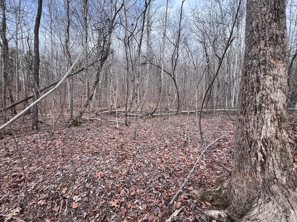Lot 55 Buffalo Cove Lane Jamestown TN 38556