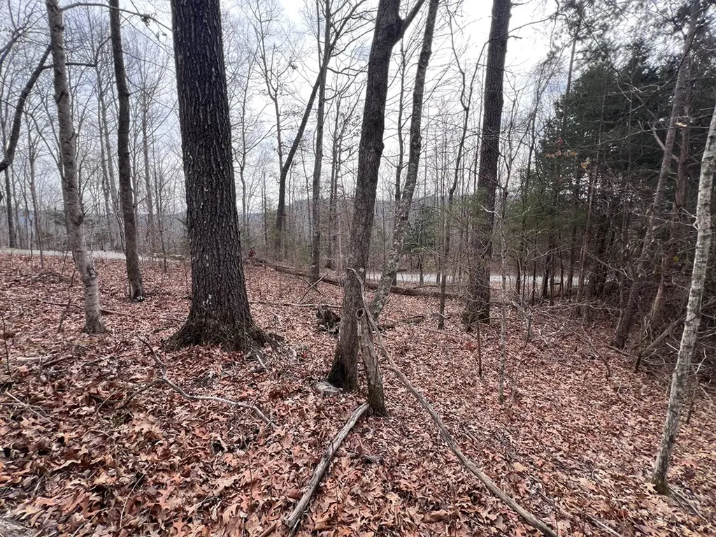 Lot 55 Buffalo Cove Lane Jamestown TN 38556