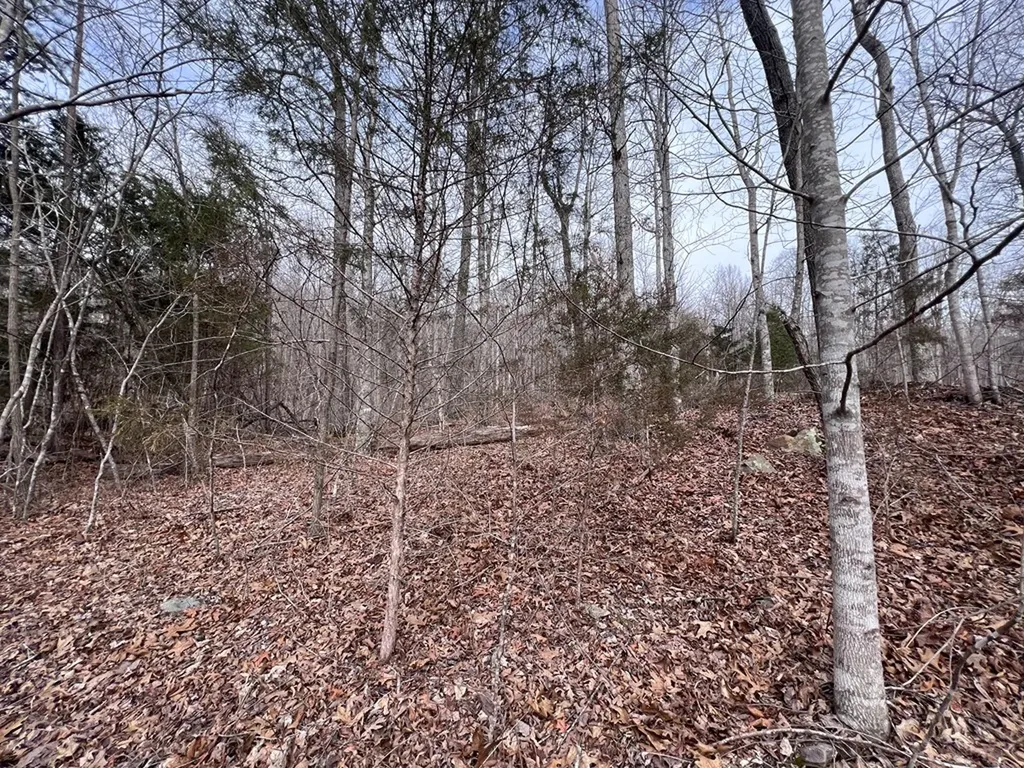 Lot 55 Buffalo Cove Lane Jamestown TN 38556