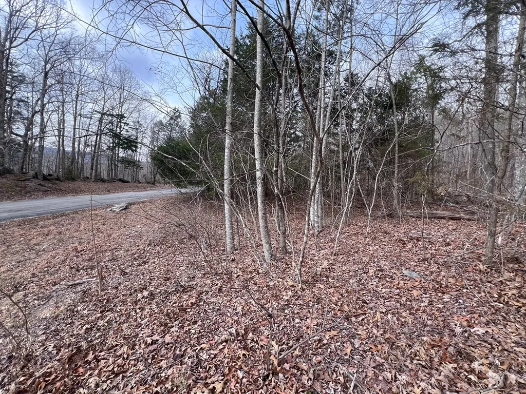 Lot 55 Buffalo Cove Lane Jamestown TN 38556