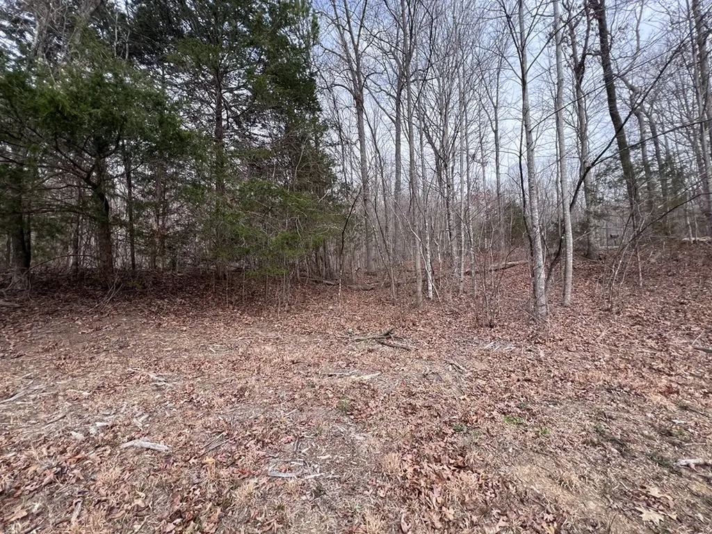 Lot 55 Buffalo Cove Lane Jamestown TN 38556