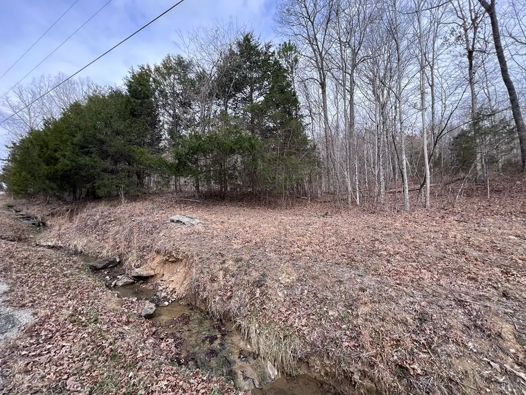 Lot 55 Buffalo Cove Lane Jamestown TN 38556