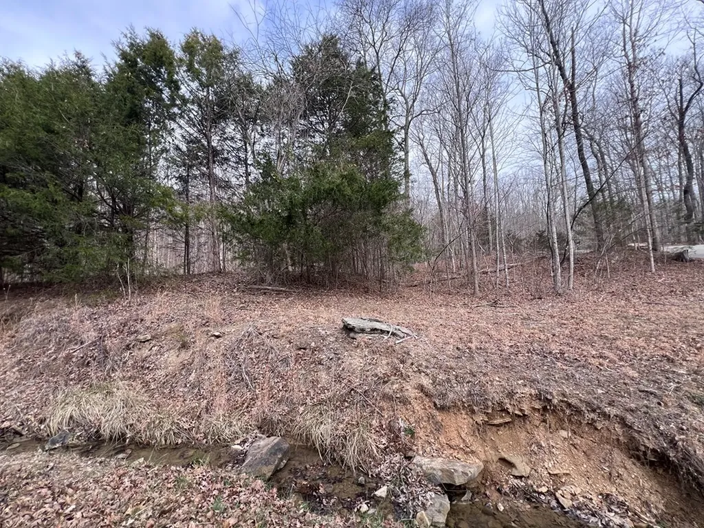 Lot 55 Buffalo Cove Lane Jamestown TN 38556