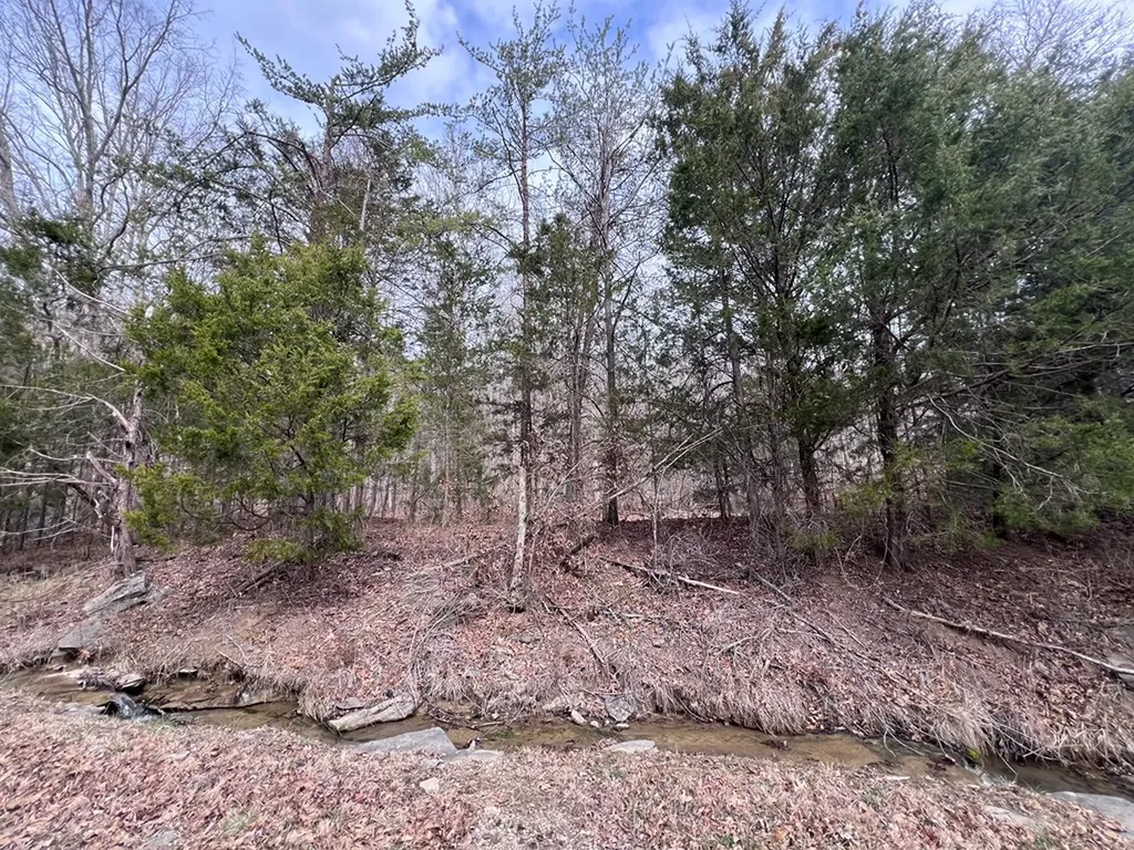 Lot 55 Buffalo Cove Lane Jamestown TN 38556