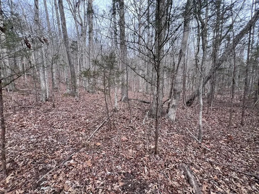 Lot 55 Buffalo Cove Lane Jamestown TN 38556
