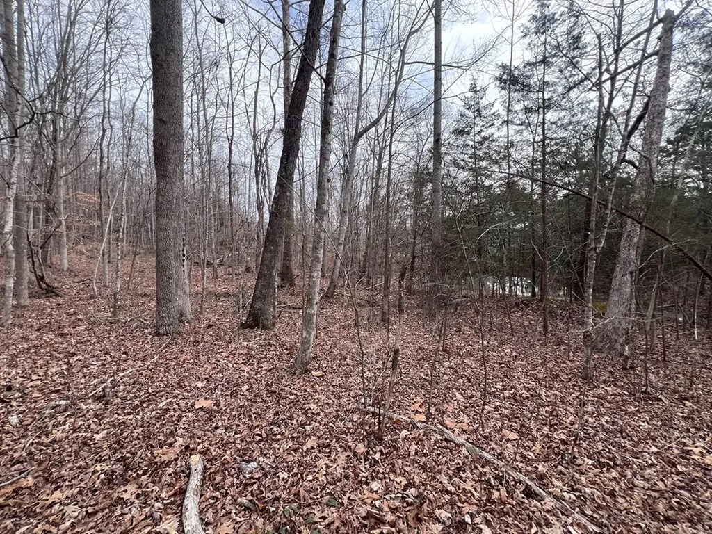 Lot 55 Buffalo Cove Lane Jamestown TN 38556
