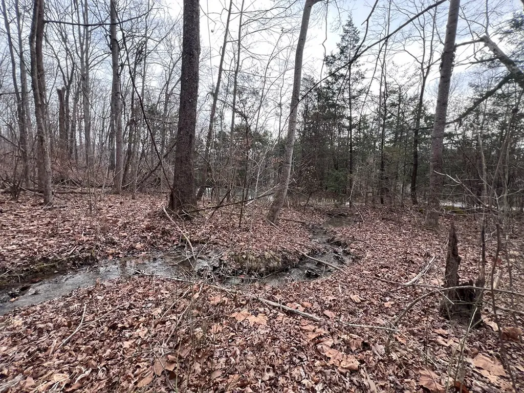 Lot 55 Buffalo Cove Lane Jamestown TN 38556