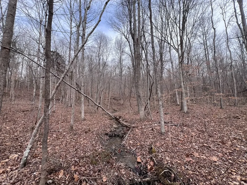 Lot 55 Buffalo Cove Lane Jamestown TN 38556