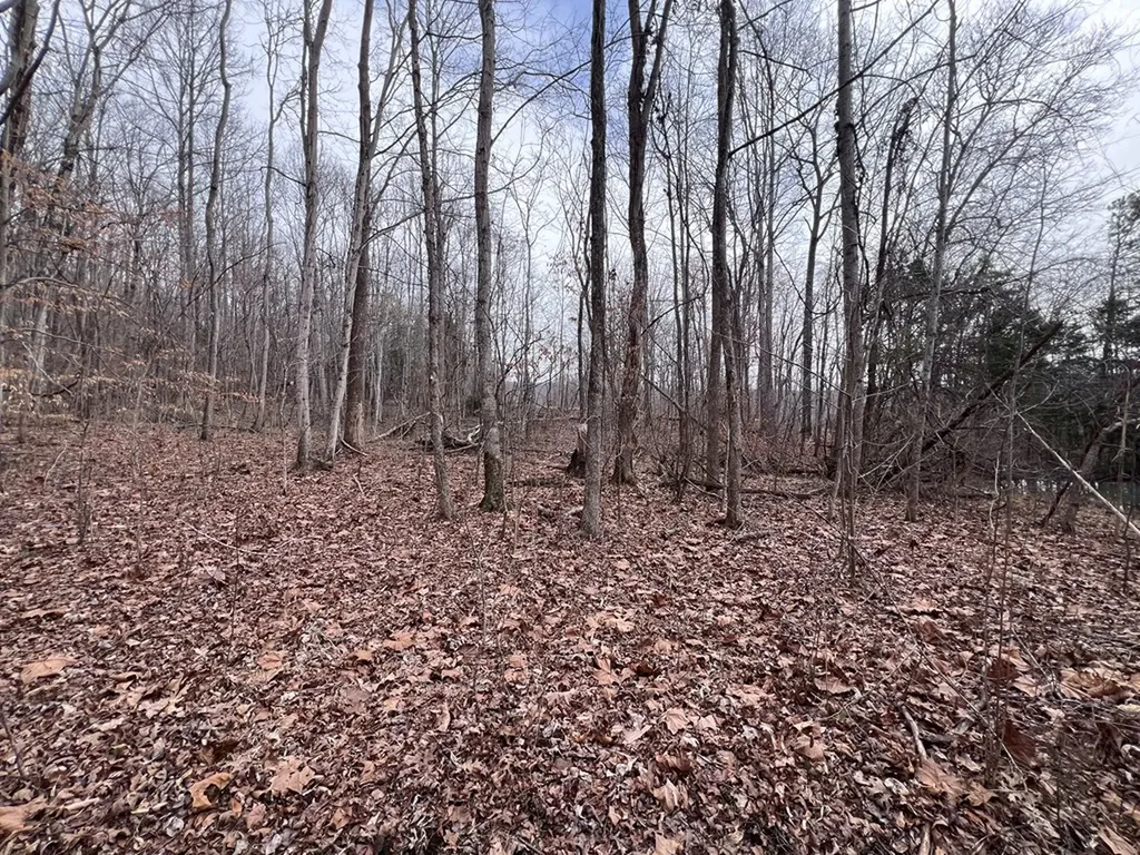 Lot 55 Buffalo Cove Lane Jamestown TN 38556