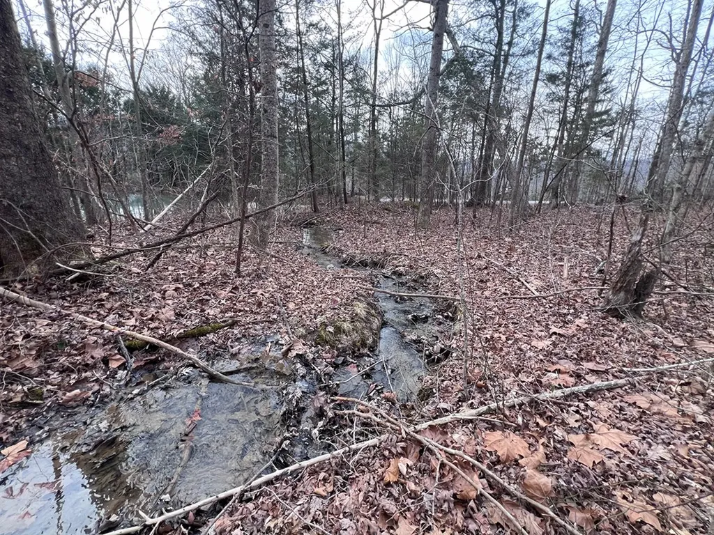 Lot 55 Buffalo Cove Lane Jamestown TN 38556