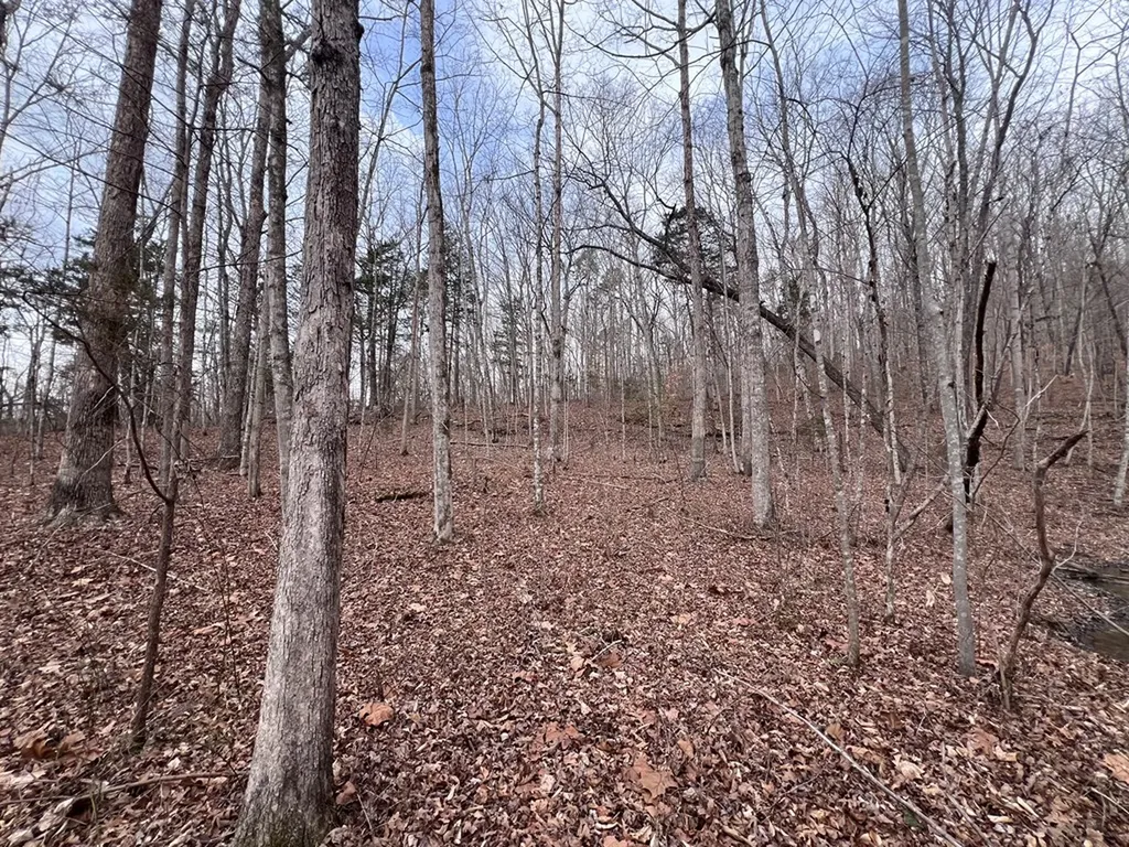 Lot 55 Buffalo Cove Lane Jamestown TN 38556