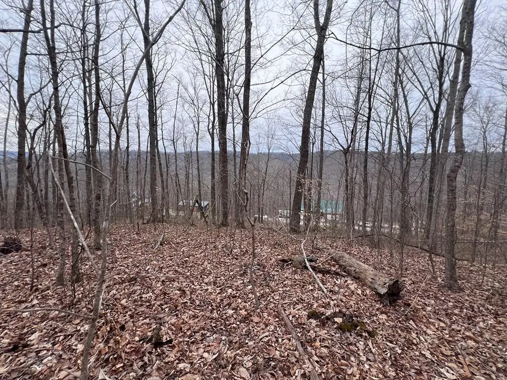 Lot 62 Apache Road Jamestown TN 38556