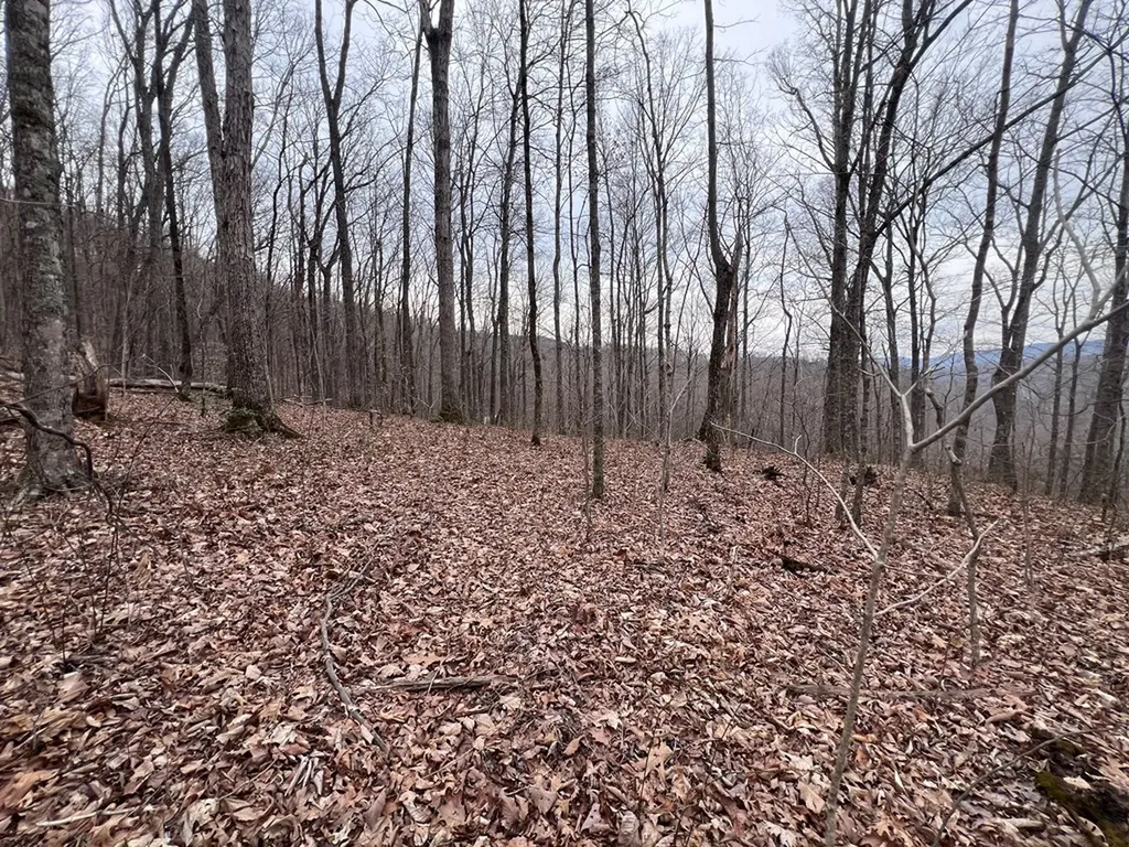 Lot 62 Apache Road Jamestown TN 38556