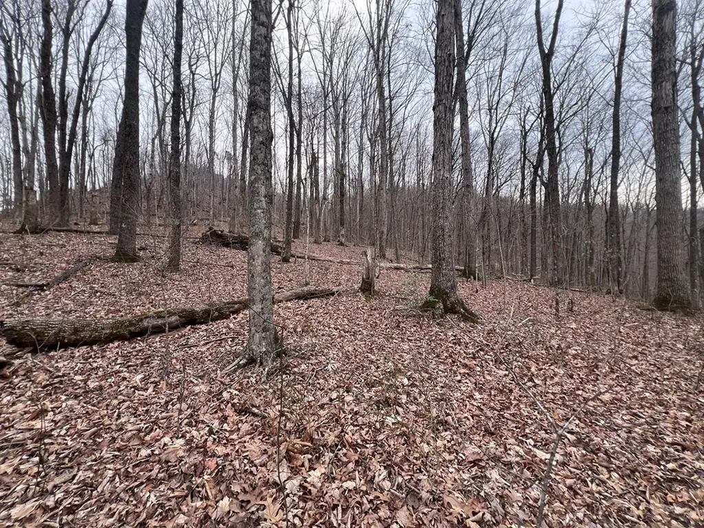 Lot 62 Apache Road Jamestown TN 38556