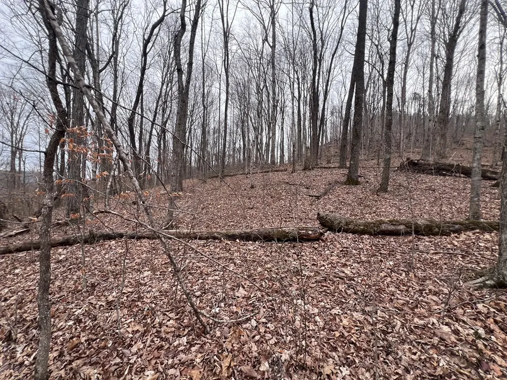Lot 62 Apache Road Jamestown TN 38556
