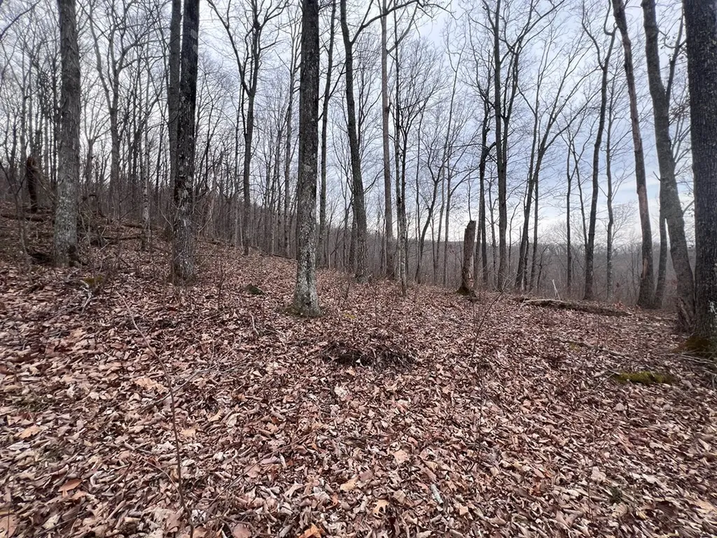 Lot 62 Apache Road Jamestown TN 38556