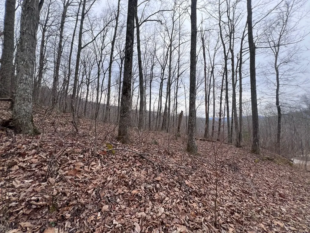 Lot 62 Apache Road Jamestown TN 38556