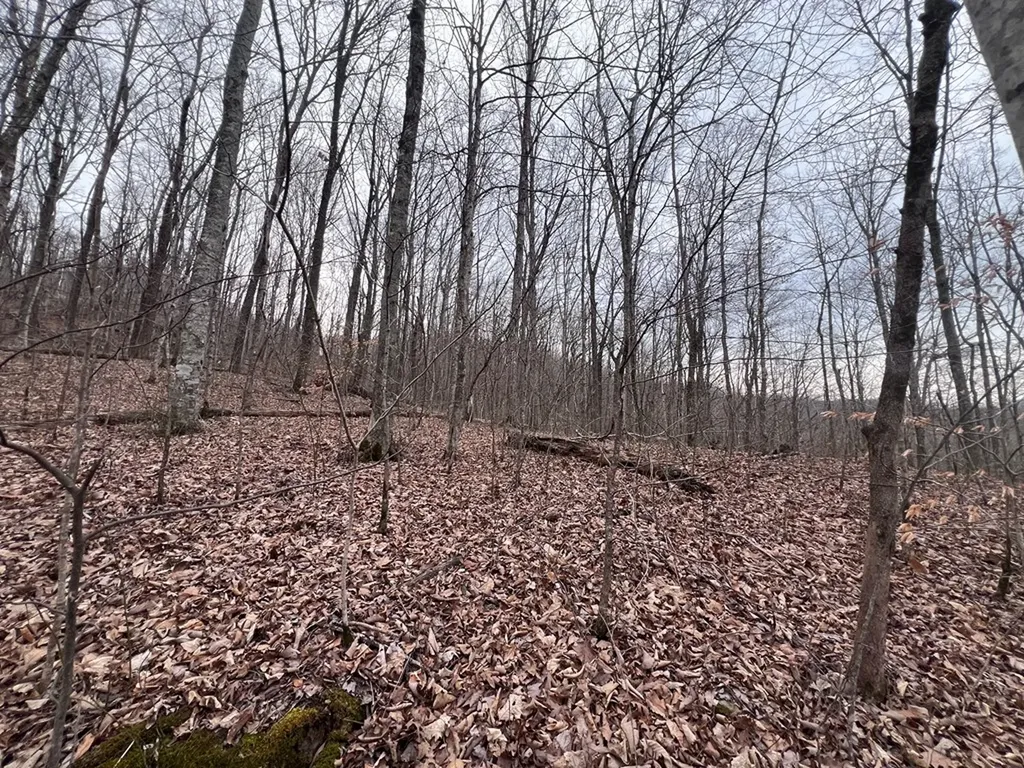 Lot 62 Apache Road Jamestown TN 38556